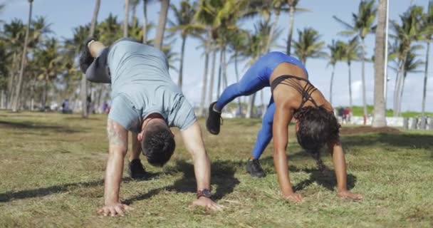 Sportif çift eğitim güneş ışığı altında — Stok video