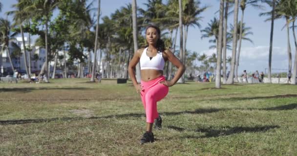 Mujer negra confiada trabajando en el prado — Vídeos de Stock