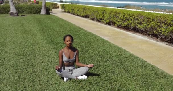 Zwarte vrouw doet yoga op gazon — Stockvideo