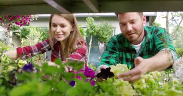 Веселая пара, выращивающая цветы в саду — стоковое видео