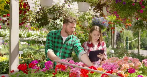 Współpracownicy rachunkowości kwiaty na sprzedaż — Wideo stockowe