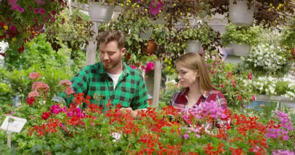 Erkek ve kadın çiçek Bahçe — Stok video