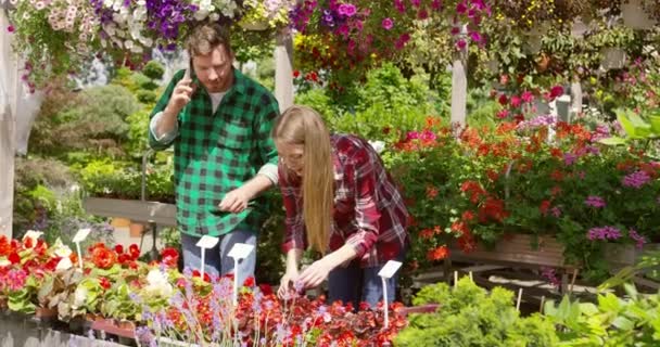 Pareja teniendo negocios de jardín floral — Vídeo de stock