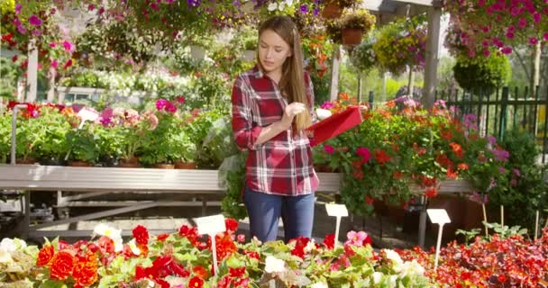 Girl with tablet working in blooming garden — Stock Video