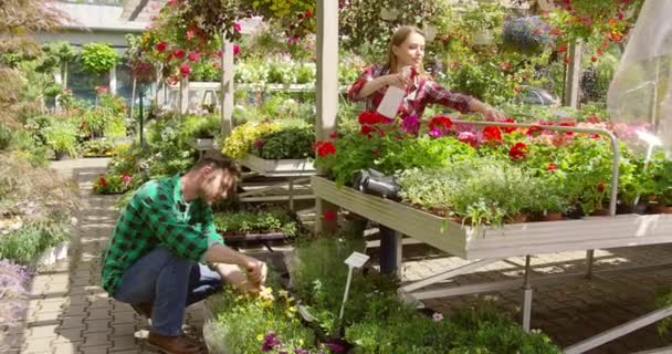 Pareja cuidando las flores en el jardín — Vídeo de stock