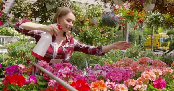 Mulher encantadora pulverizando flores no jardim — Vídeo de Stock