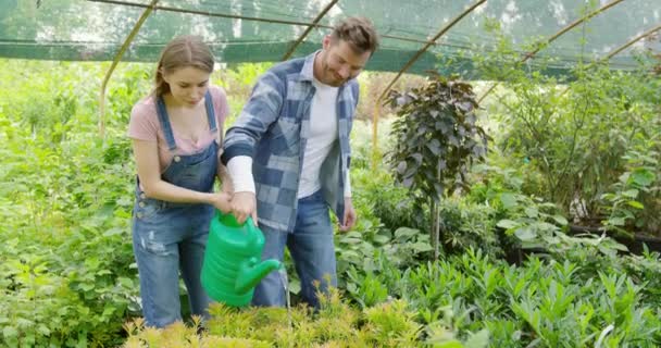 夫妇一起浇灌植物 — 图库视频影像
