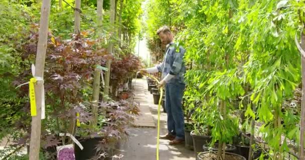 Mann wässert grüne Pflanzen draußen — Stockvideo