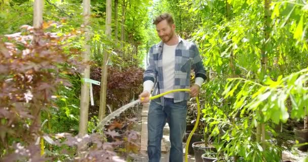 Conteúdo homem pulverizando plantas com água — Vídeo de Stock