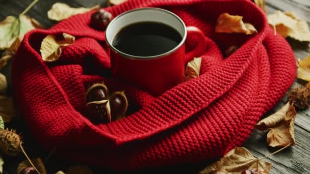 Bladeren en noten in de buurt van sjaal en warme drank — Stockvideo
