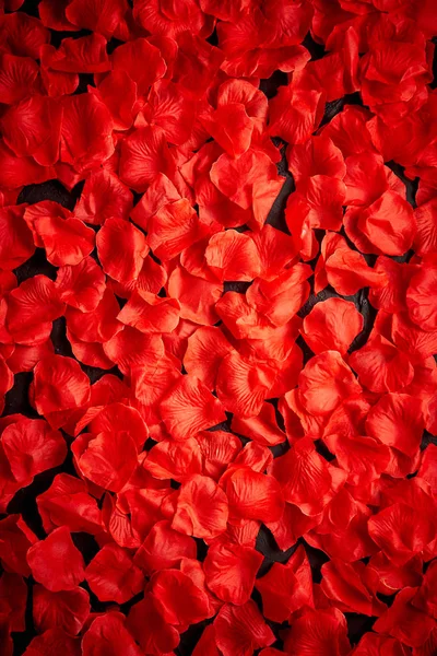 Hintergrund der schönen roten Rosenblätter. Ansicht von oben — Stockfoto