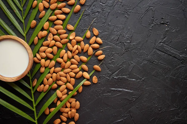 Composition des graines d'amandes et du lait, placées sur fond de pierre noire . — Photo