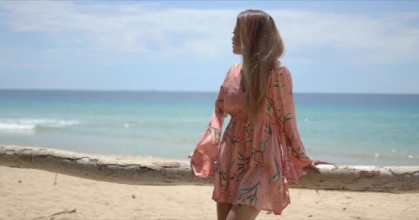 Elegante donna etnica appoggiata alla recinzione sulla spiaggia — Video Stock