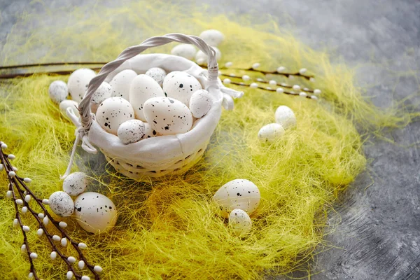 Oeufs en pointillés blancs de Pâques dans le nid et herbe jaune printanière — Photo