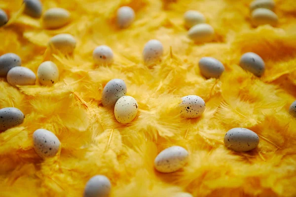 Состав пасхальных яиц лежит среди желтых перьев на праздники Лицензионные Стоковые Фото