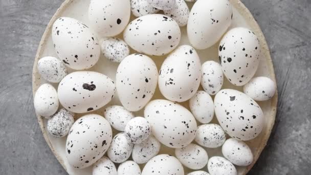 Összetétele a hagyományos fehér pontozott húsvéti tojás fehér kerámia tányér — Stock videók