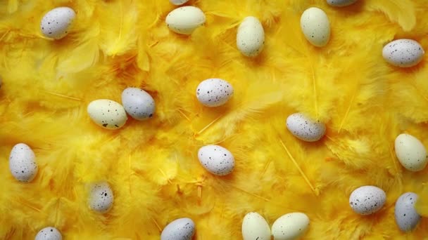 Composition des œufs de Pâques pastel se trouvent parmi les plumes jaunes pour les vacances — Video