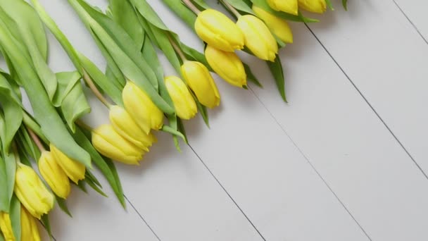 Row of fresh Yellow tulips on white wooden table — Stock Video