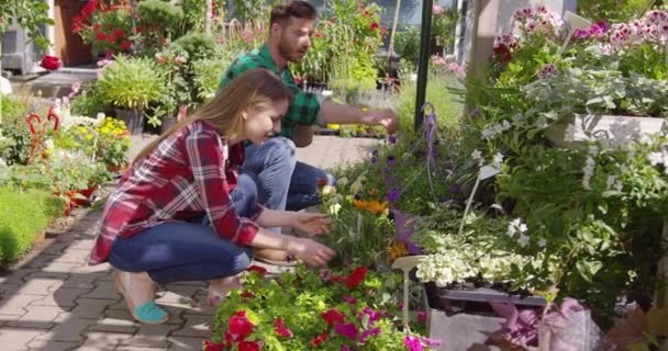 Dos botánicos trabajando con plantas — Vídeo de stock