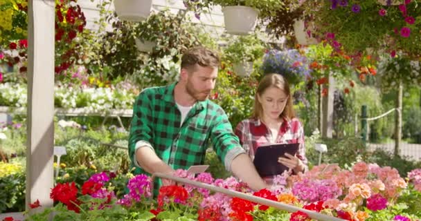 Deux jardiniers font de la paperasserie entre les plantes — Video