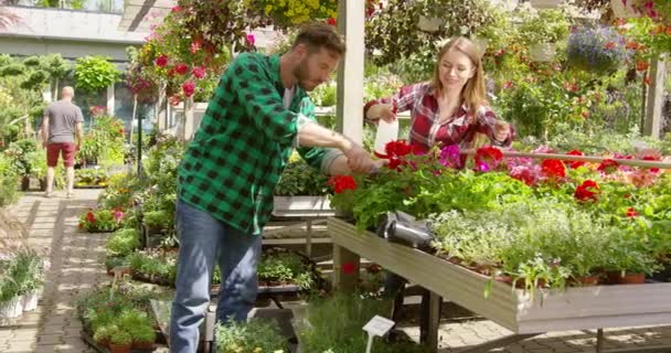 Leende medarbetare i trädgården tillsammans — Stockvideo