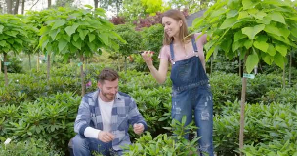 Hombre y mujer cuidando plantas en el jardín — Vídeo de stock