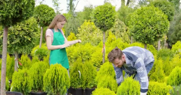 Jardineiros profissionais do homem e da mulher com árvore potted pequena no jardim — Vídeo de Stock