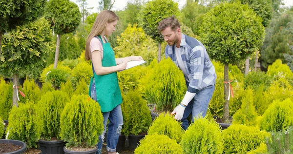 庭に小さな鉢植えの木の男と女のプロの庭師 — ストック写真