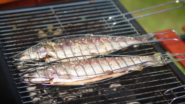 Sabrosos peces enteros colocados en la parrilla barbacoa — Vídeos de Stock