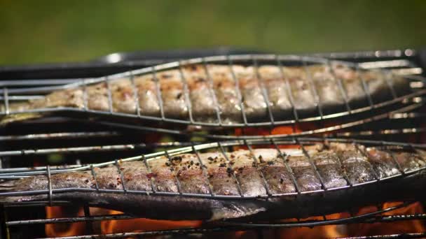 Sabrosos peces enteros colocados en la parrilla barbacoa — Vídeo de stock