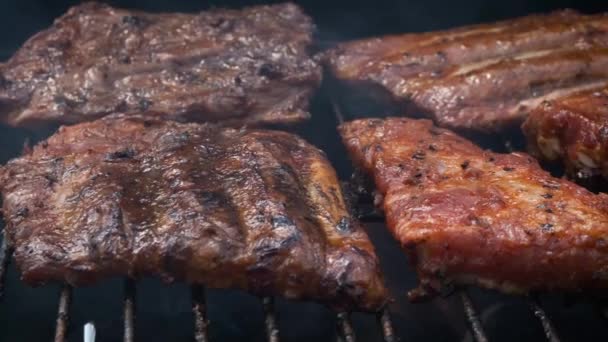 Costelas saborosas cozinhar em churrasqueira para festa ao ar livre de verão — Vídeo de Stock