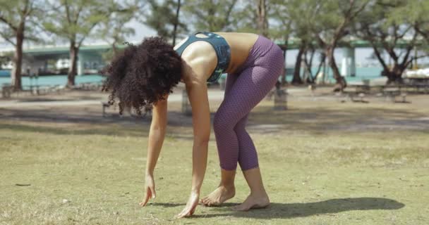 公園でのスポーツ女性トレーニングヨガ — ストック動画