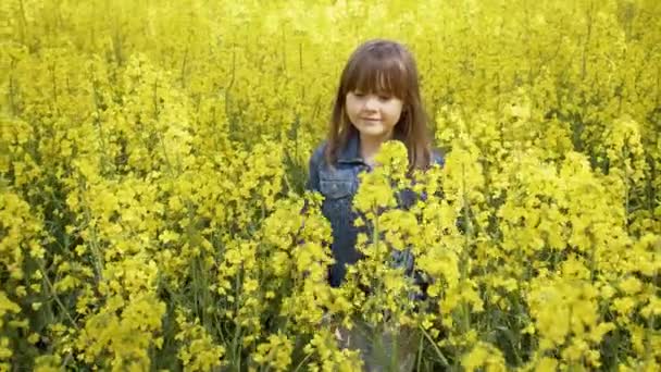 Linda niña feliz 6-8 años de edad caminando en el verano en un campo de canola amarillo — Vídeos de Stock