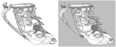 Geyik'ın kafası, şeklinde altın rhyton bulundu Panagyurishte, Bulgaristan (bir Trakyalı'dan 4 c. M.ö. parça). Beyaz ve gri arka plan üzerinde izole çizim.