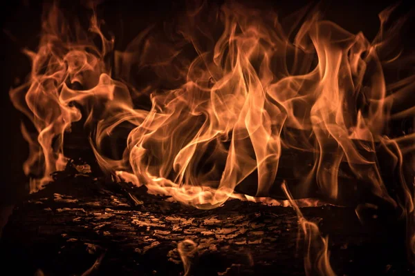 Огонь Изолирован Черном Фоне — стоковое фото