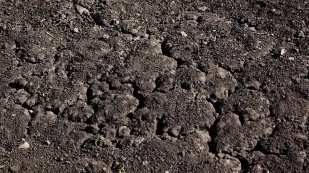 乾燥した気候の乾燥した土壌 — ストック動画