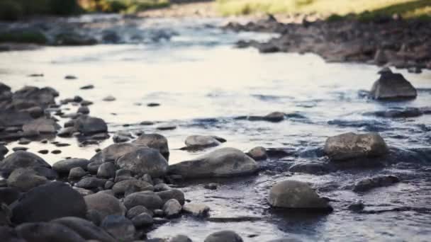 Небольшая чистая река на возвышенностях — стоковое видео