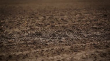 Kamera slayt sürülmüş zemin üzerinde