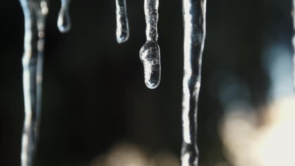 Details of melting ice stalactite — Stock Video