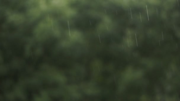 Krople deszczu na zielonym tle — Wideo stockowe