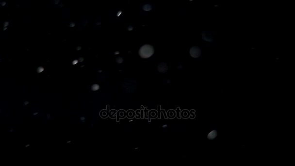 Astratto sfondo nero con particelle — Video Stock