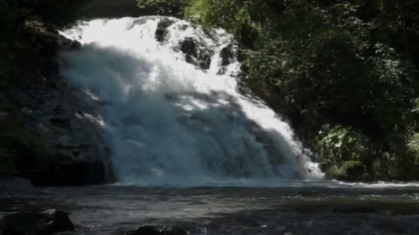 Vattenfall i mörka skogen — Stockvideo