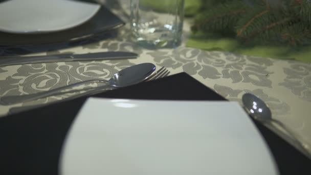 Los platos elegantes sobre la mesa — Vídeos de Stock