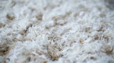 Beyaz yumuşak tüyler
