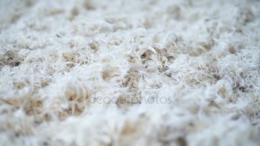 Beyaz yumuşak tüyler
