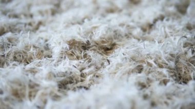 Beyaz yumuşak tüyler