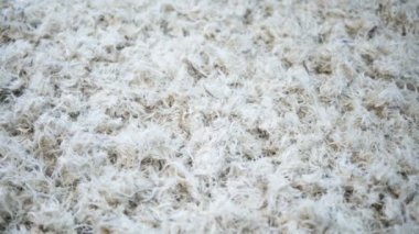 Beyaz yumuşak tüyler