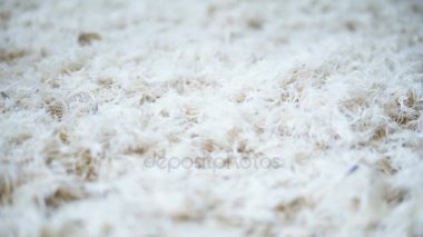 Aşağı düşen beyaz yumuşak tüyler