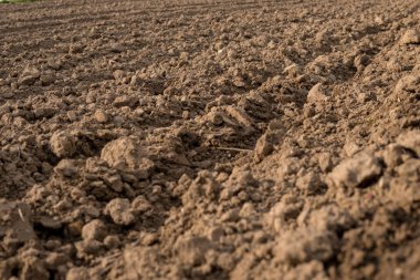 sürülmüş boş alan