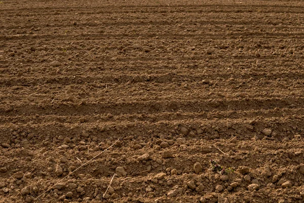 Zaorane puste pole — Zdjęcie stockowe